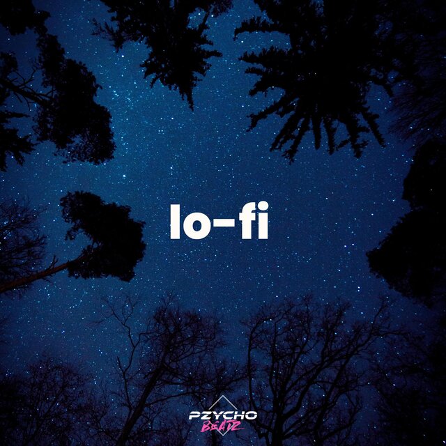 One Night In The Forest