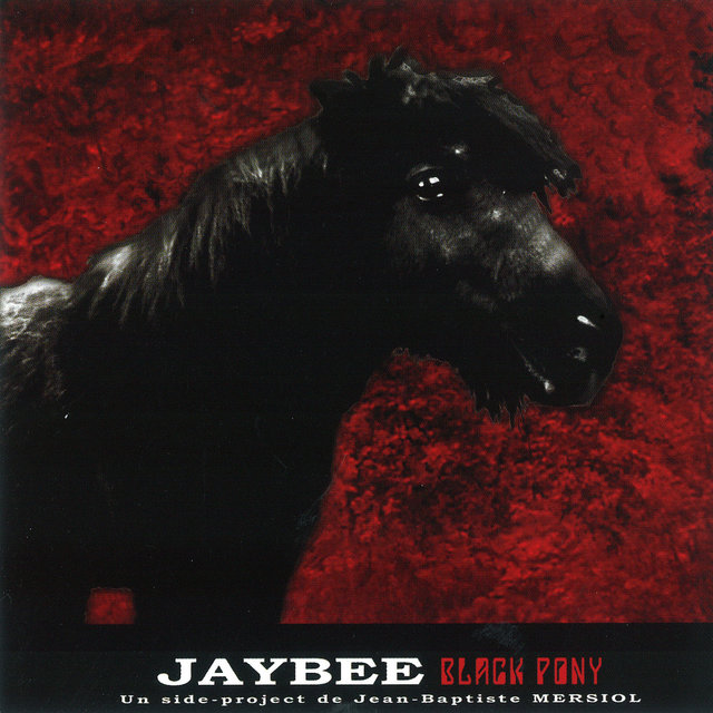 Black Pony