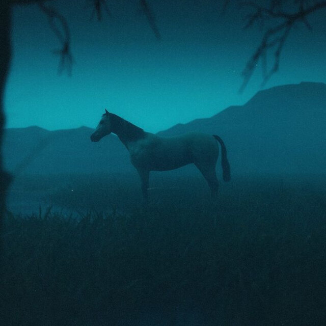 Night Dreams