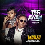 Far Away (feat. Zainab Sheriff) (Remix)