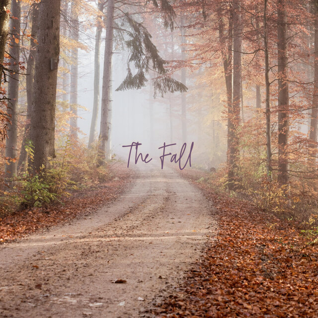 The Fall