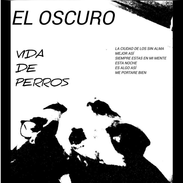 vida de perros