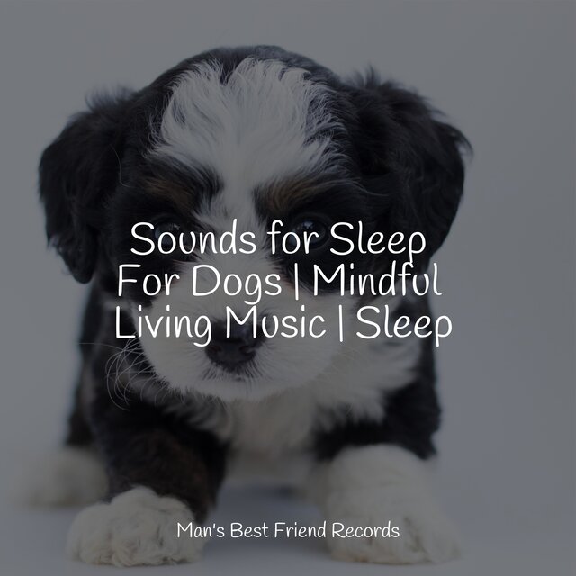 Sounds for Sleep For Dogs | Mindful Living Music | Sleep