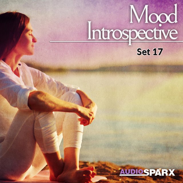 Mood Introspective, Set 17