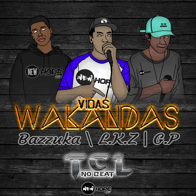 Vidas Wakandas