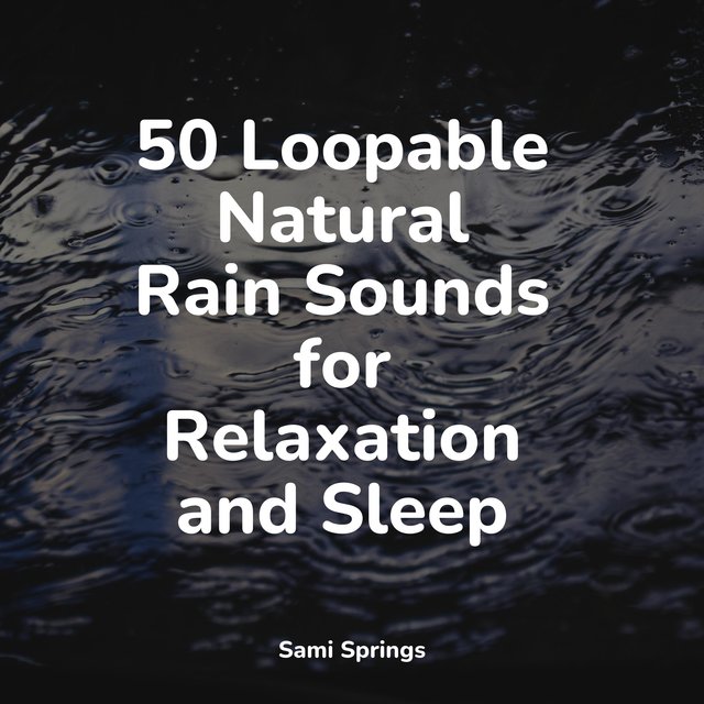 50 Loopable Natural Rain Sounds for Relaxation and Sleep by ...