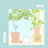 i killed my plant