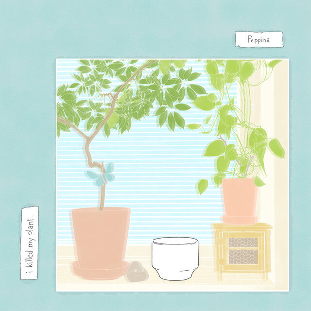 i killed my plant
