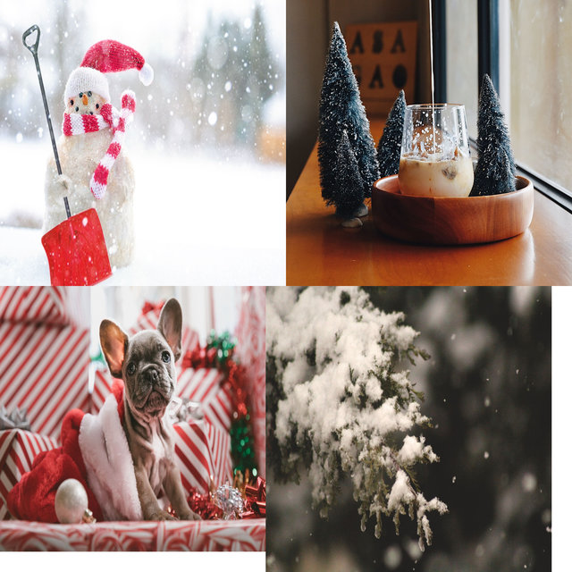 Joy to the World - Tropical Christmas