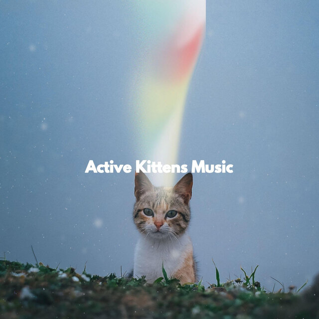 Active Kittens Music