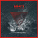 Cover art for album This Too Shall Pass by Red Kite