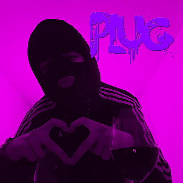 Plug