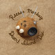 Cover art for album Desert Island Disc by Recess Monkey