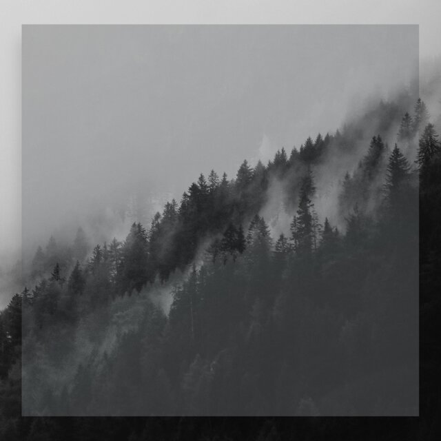 See Upon