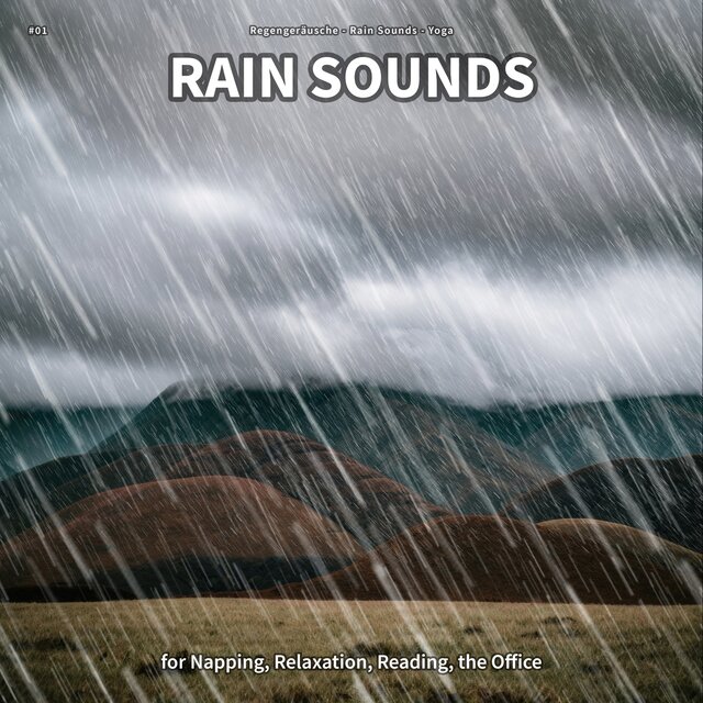 #01 Rain Sounds for Napping, Relaxation, Reading, the Office