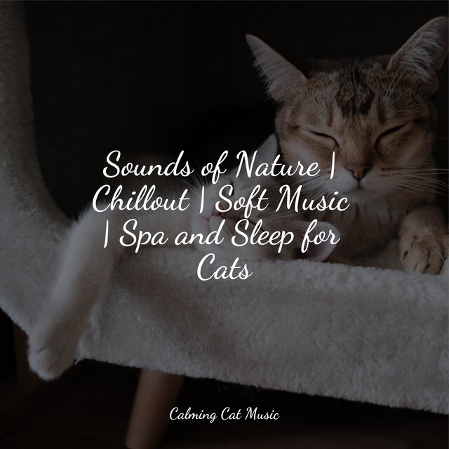 Sounds of Nature | Chillout | Soft Music | Spa and Sleep for Cats