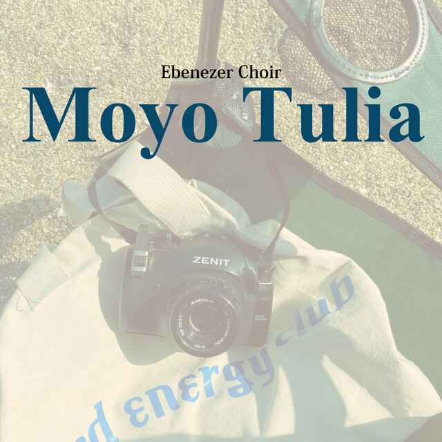 Moyo Tulia