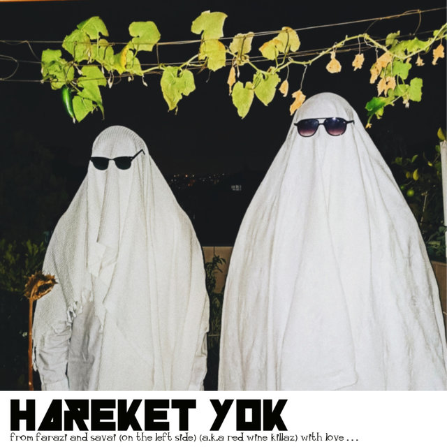 Hareket Yok