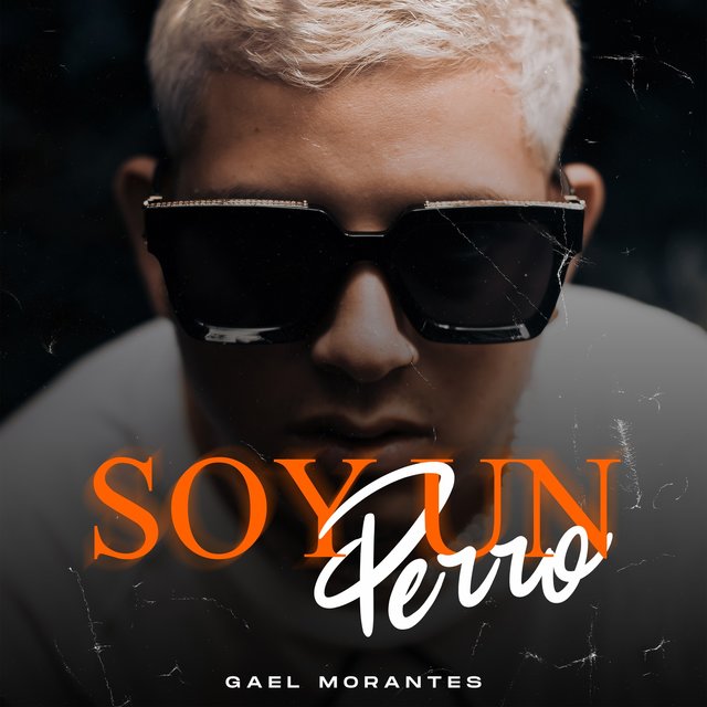 Soy un Perro