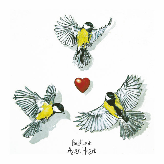 Avian Heart