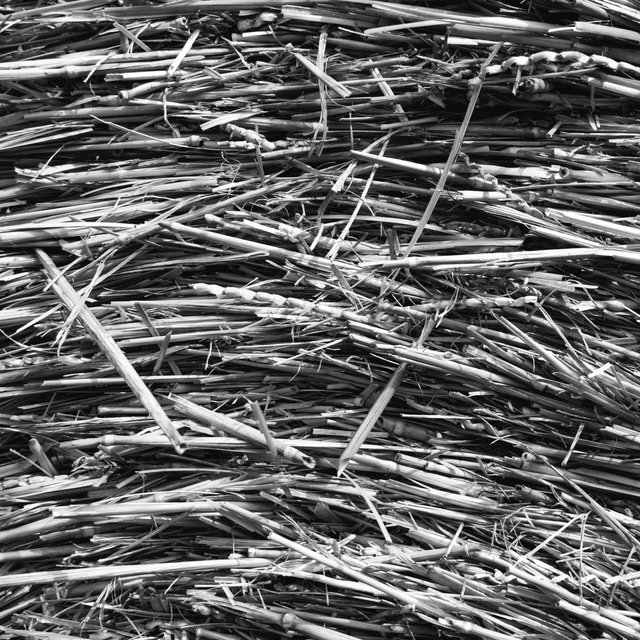 Last Straw