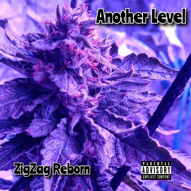 Another Level