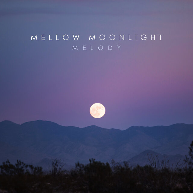 Mellow Moonlight Melody: Lounge Jazz Soft Mix, Jazz in the Background, Soft and Slow