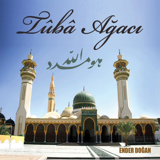 Tuba Ağacı 1