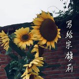 写给宗馥莉