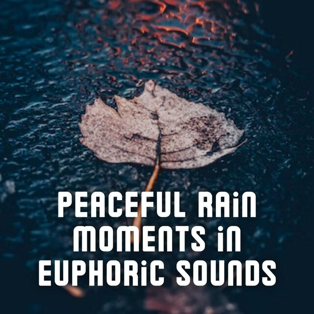 Peaceful Rain Moments in Euphoric Sounds
