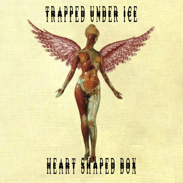Heart-Shaped Box