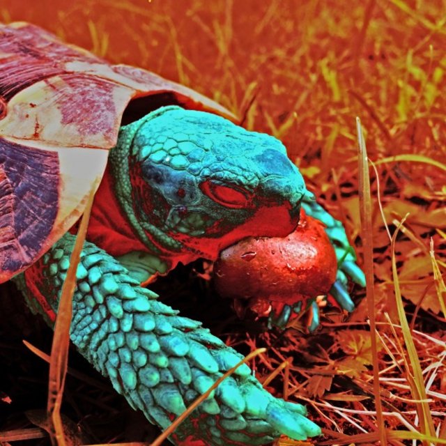 Cover art for album More Than Evil by Ruggero Catania