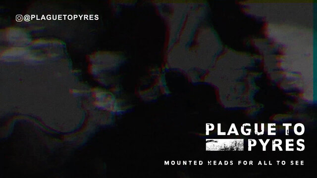 Mounted Heads For All To See