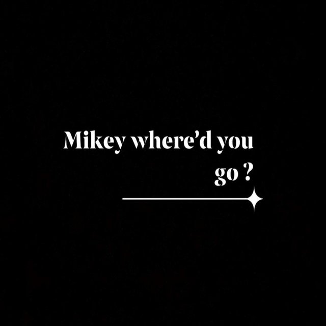Mikey Where'd You Go?