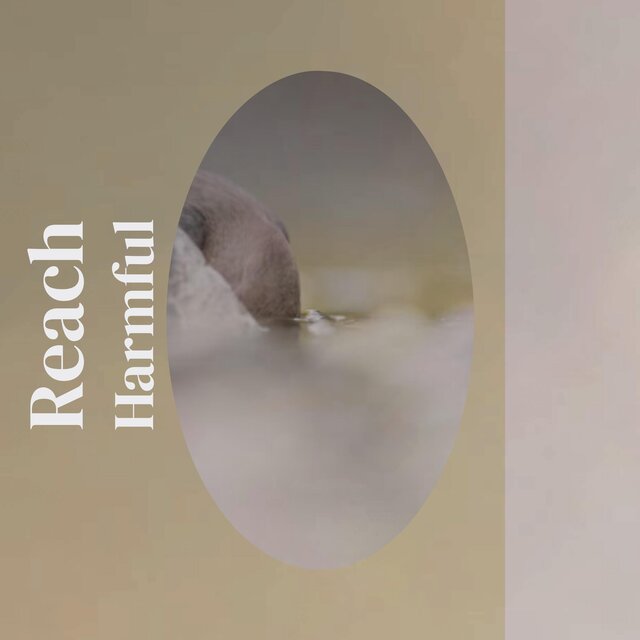 Reach Harmful