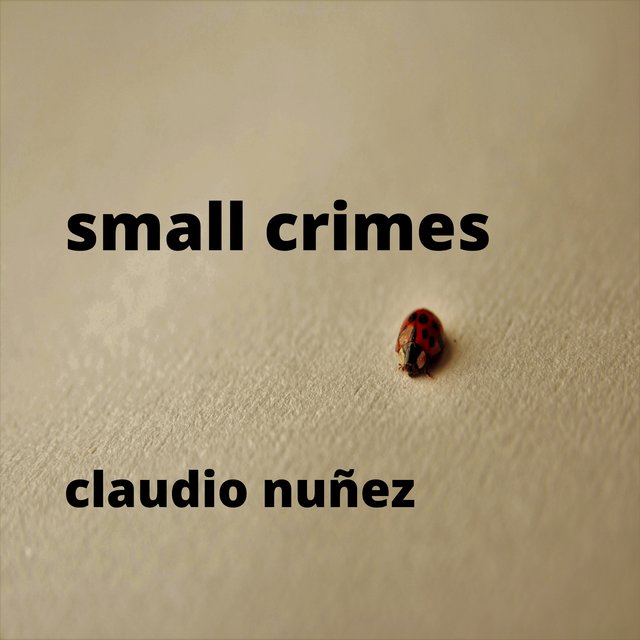 Small Crimes