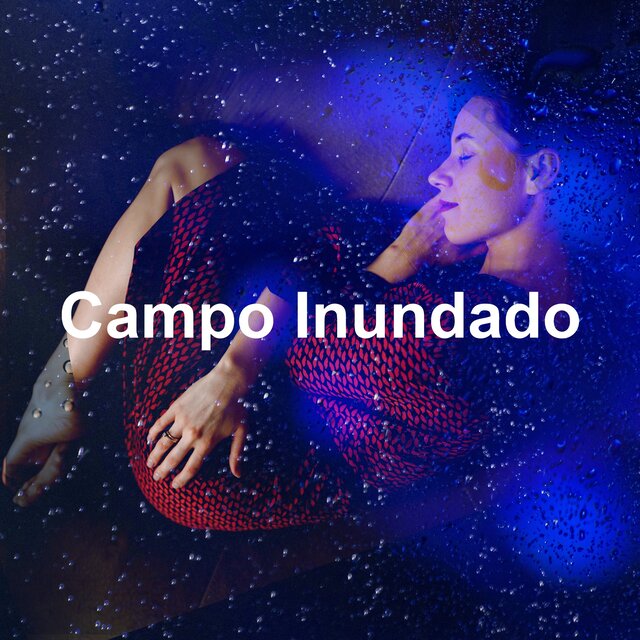 Campo Inundado