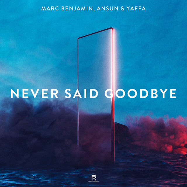 Never Said Goodbye