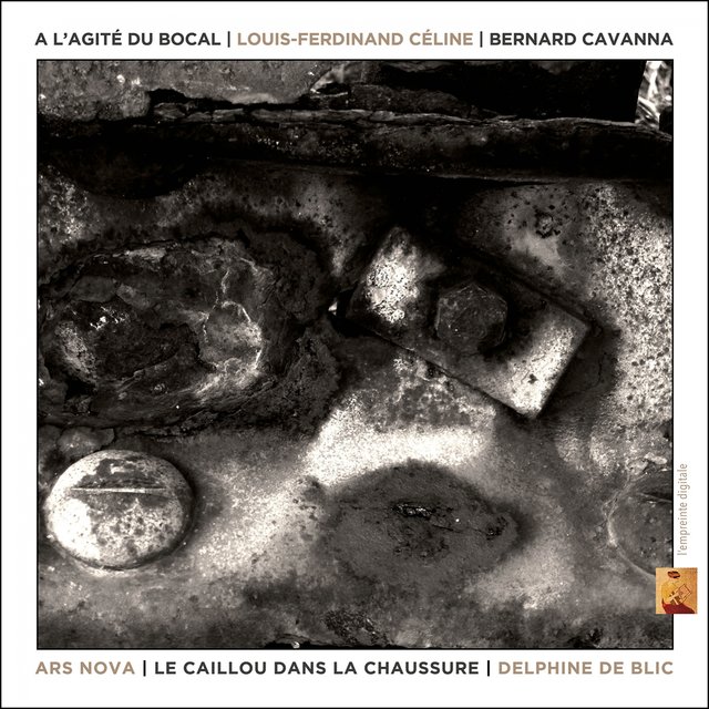 A l'agité du bocal (Bande originale du film Le caillou dans la chaussure de Delphine de Blic)