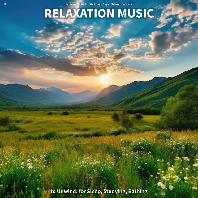 #01 Relaxation Music to Unwind, for Sleep, Studying, Bathing