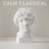 Concerto for Violin and Orchestra in D Major, Op. 61: II. Larghetto