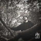 Musemelancholik (feat. Pree & Stevie Wonka)