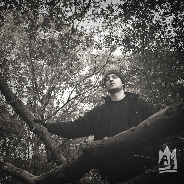 Musemelancholik (feat. Pree & Stevie Wonka)