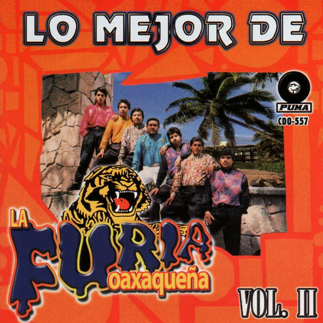 Lo Mejor De La Furia Oaxaqueña, Vol. 2