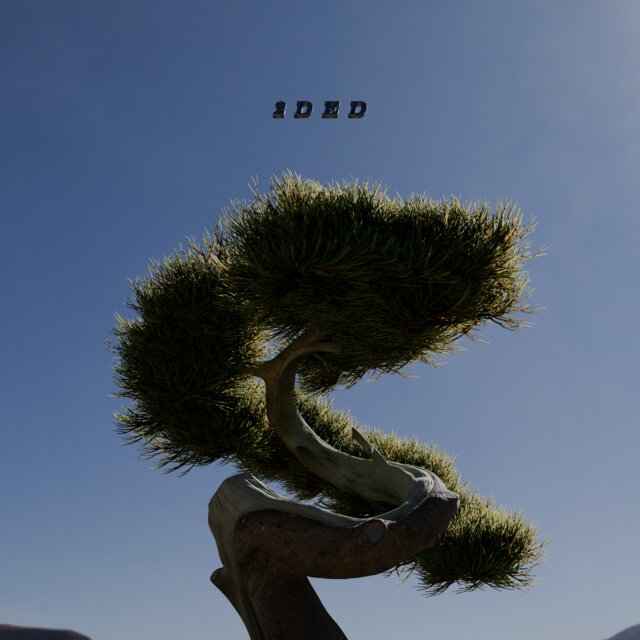 2ded