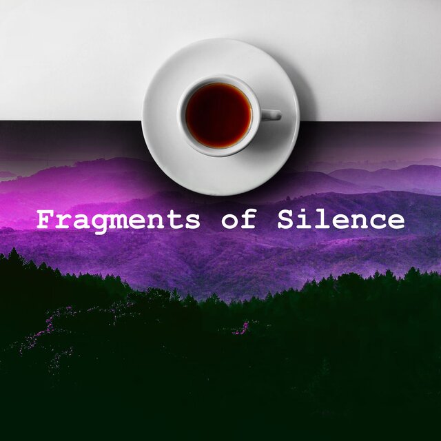 Fragments of Silence