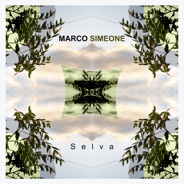Selva