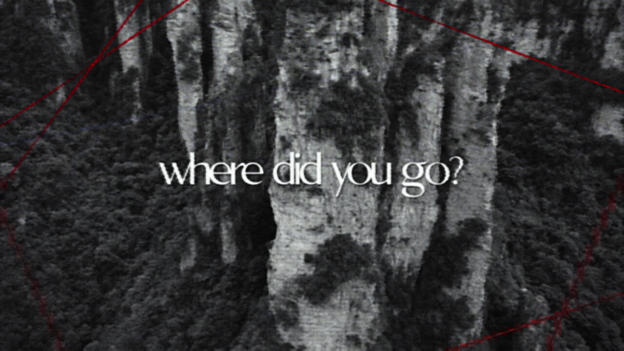 Where Did You Go?
