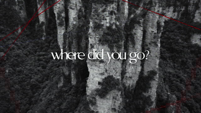 Where Did You Go?