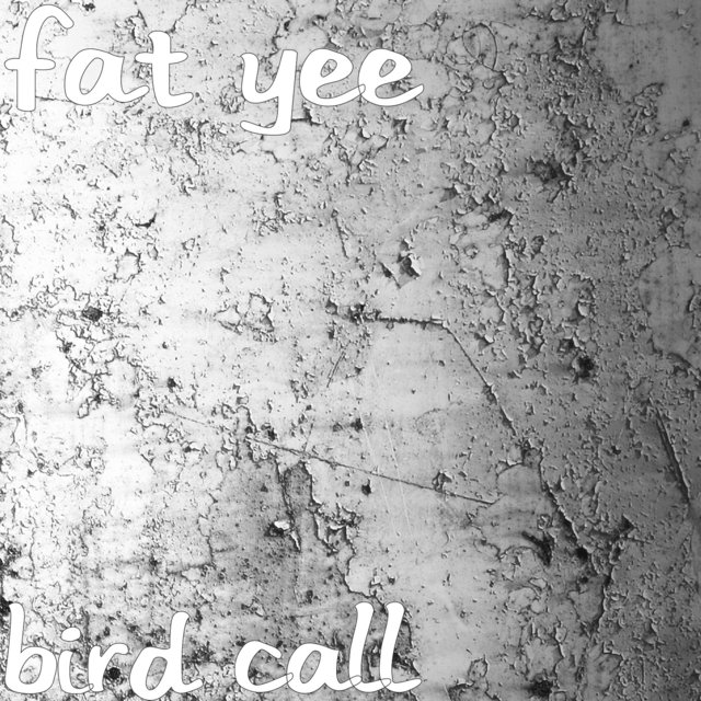 Bird Call